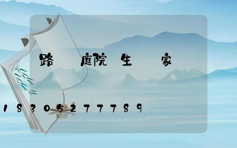 路燈 庭院燈生產廠家